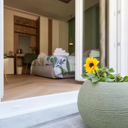 Vibes In Centro & Bed & Breakfast